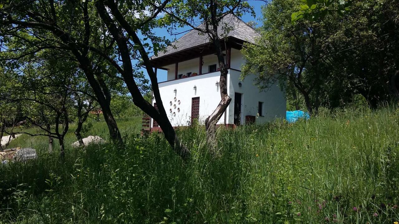 Cottage Poe Poienari Kültér fotó