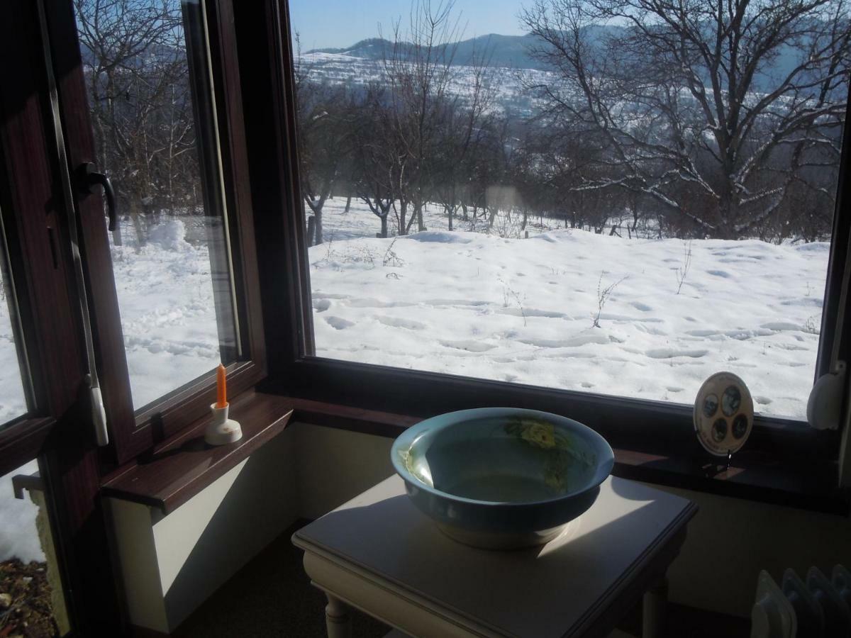 Cottage Poe Poienari Kültér fotó