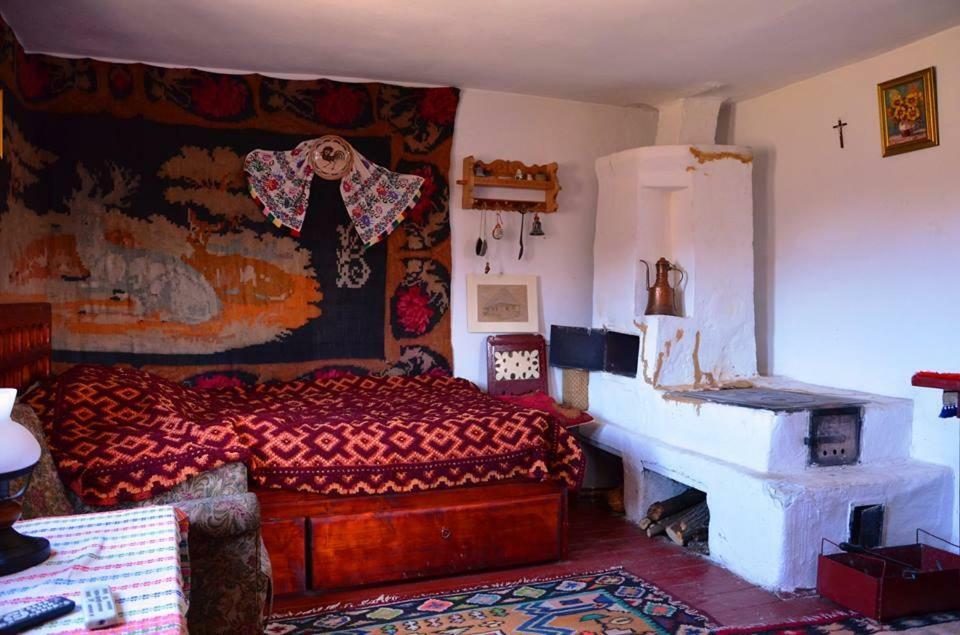 Cottage Poe Poienari Kültér fotó