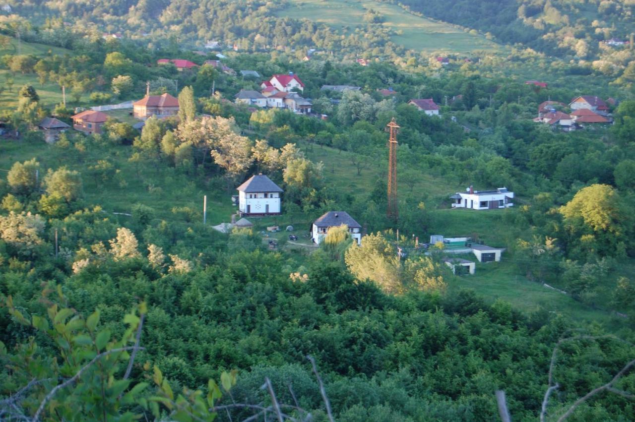 Cottage Poe Poienari Kültér fotó