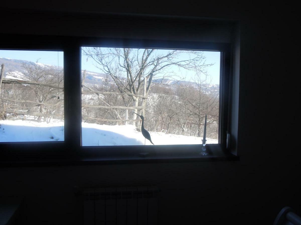 Cottage Poe Poienari Kültér fotó