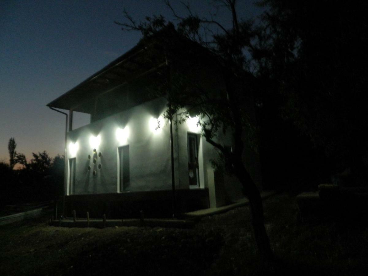 Cottage Poe Poienari Kültér fotó