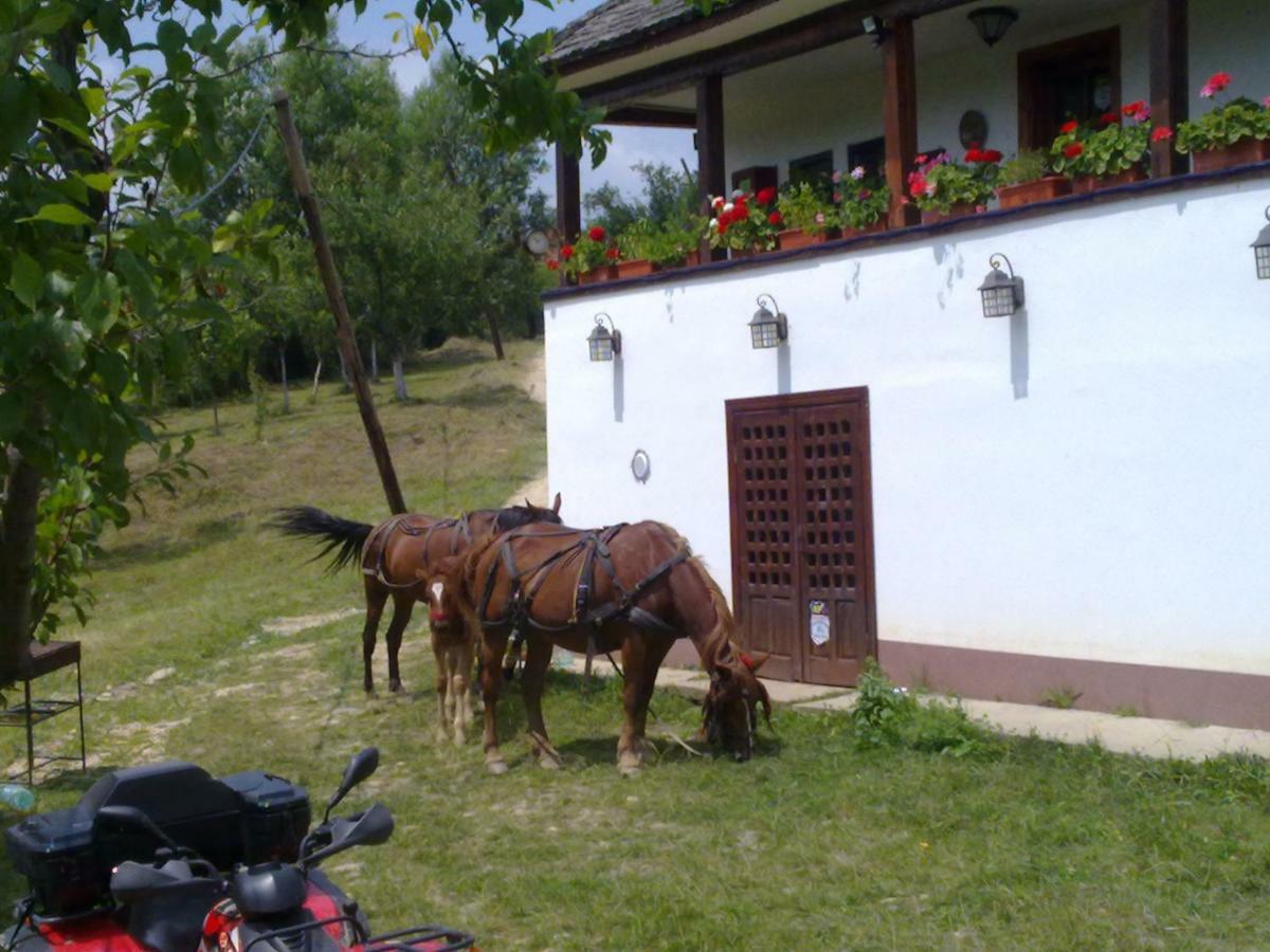 Cottage Poe Poienari Kültér fotó