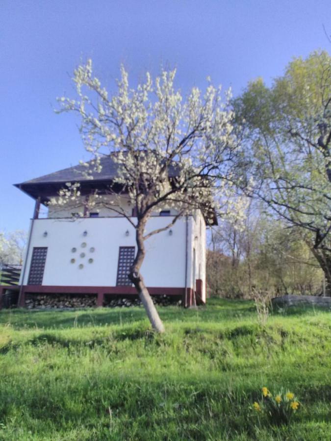 Cottage Poe Poienari Kültér fotó